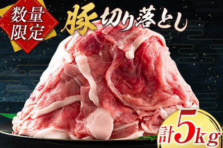 小分けで便利 数量限定 豚 切り落とし 計5kg お肉 豚肉 ポーク 国産 小分け 真空パック 個包装 万能食材 おすすめ おかず 食品 炒め物 お弁当 豚丼 豚しゃぶ しゃぶしゃぶ 焼肉 お祝い 記念日 ギフト 贈り物 贈答 プレゼント おすそ分け 宮崎県 日南市 送料無料_CD61-24