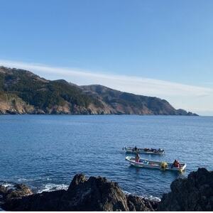 【南三陸町直送】三陸産天然活アワビ6～7個(約800g)　貝むきセット入【配送不可地域：離島・北海道・沖縄県・信越、北陸・東海・近畿・中国・四国・九州】【1371845】