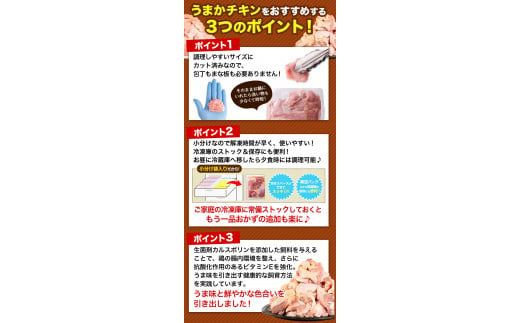 【12ヶ月定期便】うまかチキン もも+むねセット 12回のお届け3.72kg 約44.64kg《お申込み月の翌月より出荷開始》---fn_ftei_24_132000_mo12num1_3720---