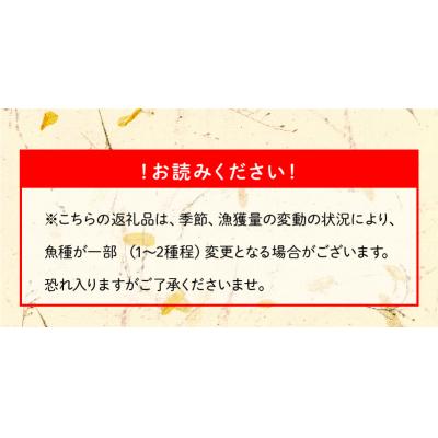 ふるさと納税 南九州市 魚を手軽に美味しく!塩干物うまいものセット |  | 01
