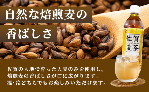 佐賀の麦茶 500ml×24本 3回 定期便 無添加 ･ 無香料 香ばしい 《佐賀県産大麦焙煎 》 自然派 ビタミンC 香料カフェインゼロ 飲み物 飲料 大麦 国産 佐賀県産 水分補給 お茶 茶 焙煎