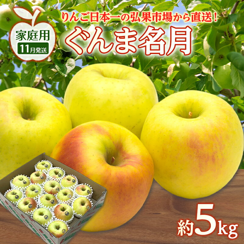 【ふるさと納税】りんご 【 11月発送 】 家庭用 ぐんま名月 約 5kg　リンゴ 林檎 青森りんご 糖度 13度 甘い 酸味 デザート フルーツ 果物 お取り寄せ 産地直送 旬 季節限定 弘果物流 青森県 西目屋村 西目屋村産　お届け：2026年11月中