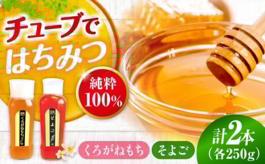 手軽に簡単チューブはちみつ（そよご・くろがねもち）各250g 計2本セット 蜂蜜 ハチミツ お取り寄せ グルメ 三次市/重森養蜂場 [APBO014]
