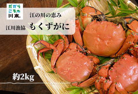 080205【一級河川・江の川の恵み・島根県産】もくずがに 2kg