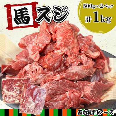 ふるさと納税 人吉市 【毎月定期便】馬スジ 1kg(500g×2パック)(人吉市)全3回