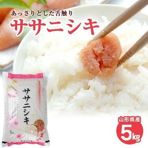 SA2941　令和7年産【精米】ササニシキ　5kg(5kg×1袋) JS