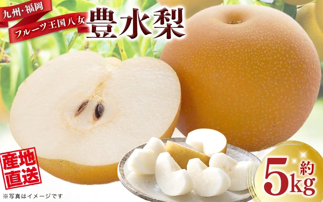 
            産地直送！ 梨(豊水) 約5kg 【2026年8～9月発送】九州・福岡フルーツ王国八女 ＜配送不可：北海道・沖縄・離島＞ なし ナシ 果物 果実 フルーツ 旬な梨 新鮮な梨 甘い梨 ジューシーな梨 みずみずしい梨 国産梨 豊水梨
          