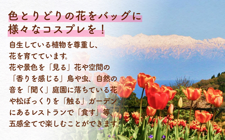 あいやまガーデン入場券+コスプレ控室つき（大人2枚） 富山県 氷見市 入場券 ペア 花 ガーデン コス 体験