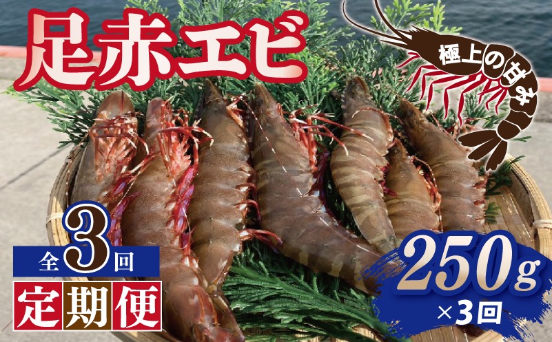 099Z386 【定期便】足赤エビ 250g×全3回 計750g【国産 えび 天然 ぷりぷり 海鮮 水揚げ 生食可】