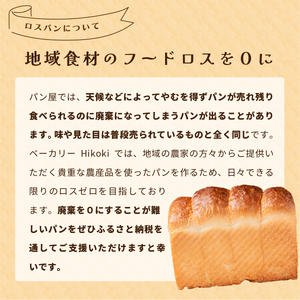 訳あり 大容量 冷凍 フードロスパン セット | ロスパン 訳あり パン フードロス パン セット 詰め合わせ 食パン HIkoOKI ヒコオキ 丹波篠山 HIK003