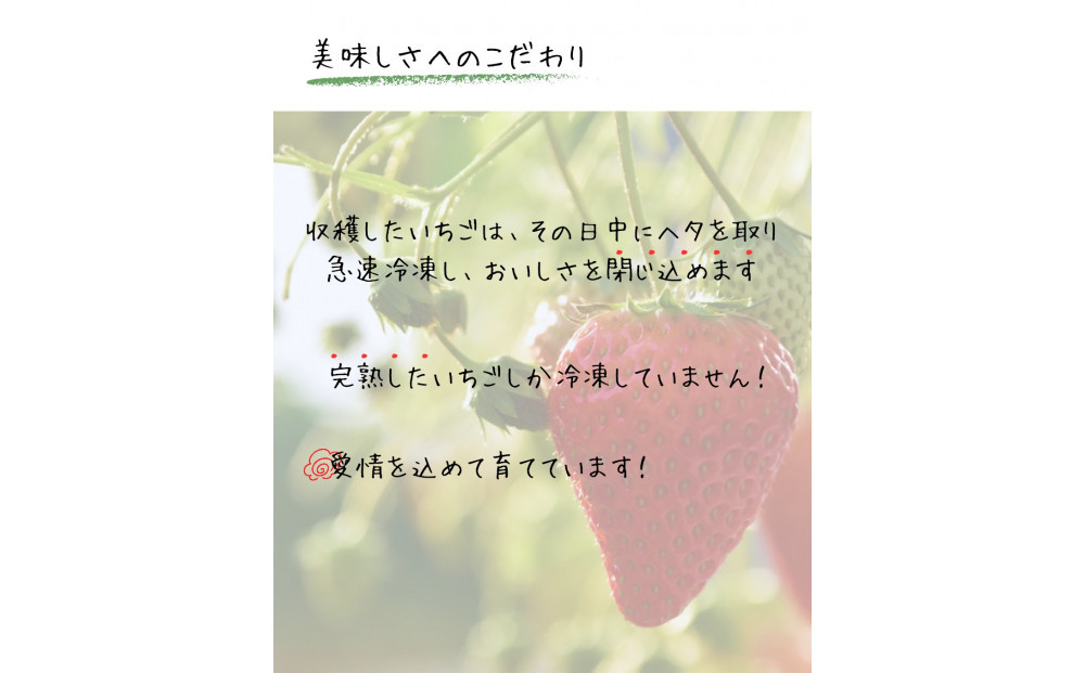 【訳アリ 冷凍いちご】静岡県産の完熟紅ほっぺを使用した冷凍いちご1kg【静岡県産】