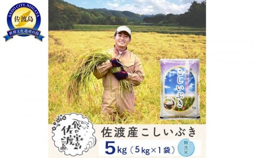 【新米予約】佐渡島産こしいぶき 無洗米5Kg 令和7年 ～農薬5割減～ 農家直送
