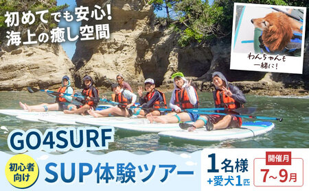 初心者向けSUP体験ツアー 1名様＋愛犬1匹 7-9月 GO4SURF《30日以内に出荷予定(土日祝除く)》千葉県 勝浦市 マリンアクティビティ体験 マリンスポーツ 海 SUP サップ 愛犬 わんちゃん 初心者向け 初心者 体験 6歳から可能