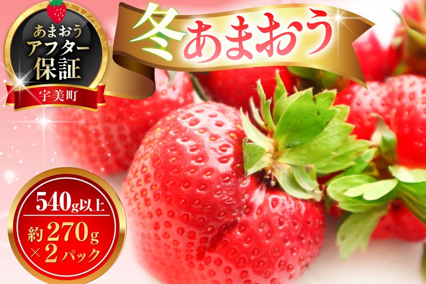 
                  【期間限定発送】 いちご あまおう 冬あまおう 270g以上 2p 計540g以上 [ストロベリーファーム 福岡県 宇美町 um40azp070002] 先行予約 イチゴ 苺 フルーツ 果物 果実 甘い 小分け あまい 2パック
                