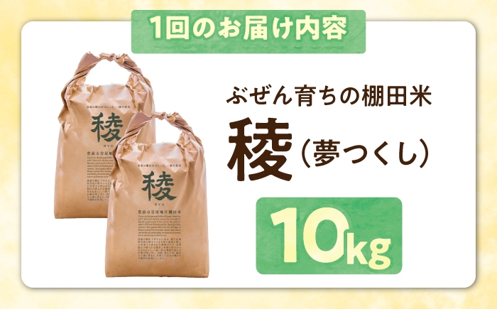 新米 産地直送 精米 国産 おすすめ 人気 10kg