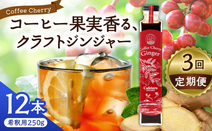 
                  【全3回定期便】クラフトジンジャー コーヒーチェリージンジャー 250g×12本 / ジンジャー エナジードリンク コーヒーチェリー 神奈川県 葉山町 クラフトジンジャー 天然 ドリンク 【カフェテーロ葉山】 [ASBM016]
                