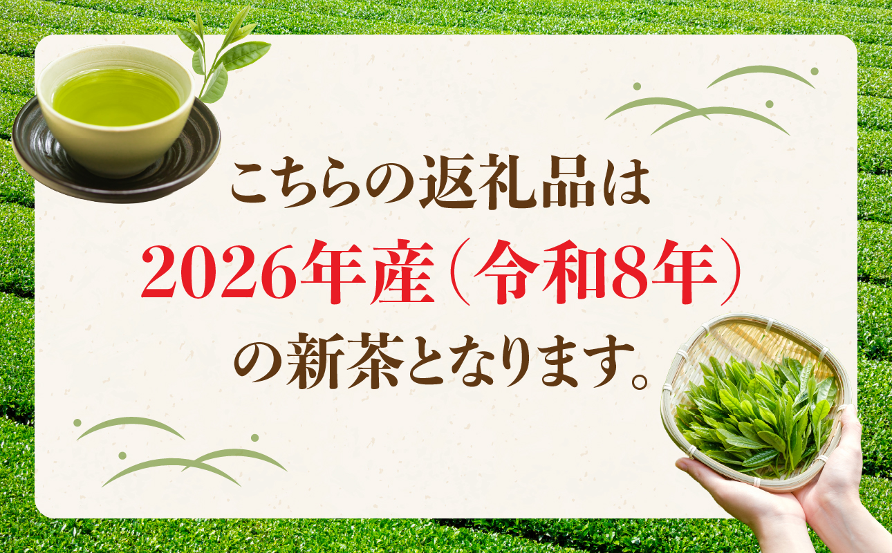 【新茶】【ギフト対応可能】2026年新茶をお届け!! 極上八女深蒸し煎茶セット お茶 緑茶  八女茶 茶葉 国産 新鮮 産地直送 産直 プレゼント ラッピング 包装 贈り物 福岡県 八女市