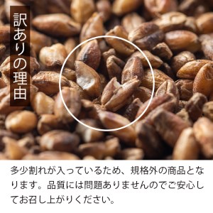 isa256 《訳あり・数量限定》鹿児島県伊佐市産もち麦！＜ダイシモチ＞(計3kg・500g×6袋) 【社会福祉法人ひまわり福祉会】