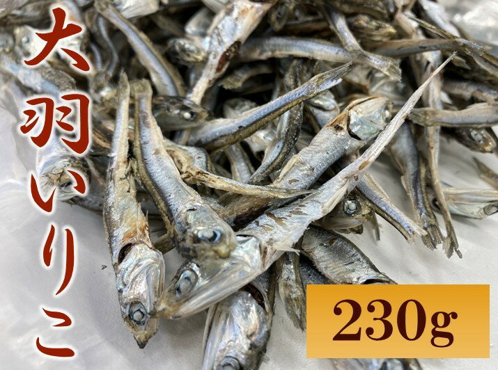 【ふるさと納税】大羽いりこ かたくちいわし 230g 瀬戸内海 愛媛県産 出汁 おやつ カルシウム 健康 海の幸 乾物 魚介類 おつまみ 保存食 特産品｜A92