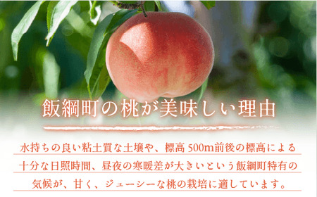 【 2026年 先行予約 】 桃 川中島白桃 5kg 秀品 光センサー選別品 糖度保証 【 予約 果物 くだもの もも モモ フルーツ 旬 長野 信州 川中島 】 沖縄県への配送不可 2026年8月下