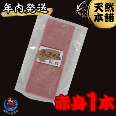 ふるさと納税 三浦市 【年内発送】神奈川県漁連　天然本マグロ　赤身サク　【お正月用】