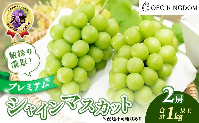 ぶどう 2026年 先行予約 プレミアム シャインマスカット 2房(1kg以上) 岡山県産 シャインマスカット