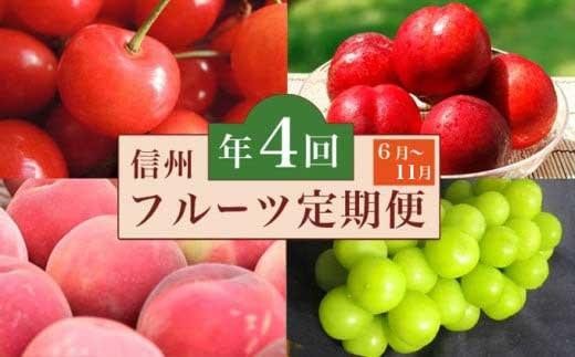 
            ［4回定期便］ 信州フルーツ4回コース ［小布施屋］ 定期便 先行予約 フルーツ 数量限定 さくらんぼ 白桃 ネクタリン シャインマスカット ぶどう クール便 冷蔵 お楽しみ 長野県産 信州産 令和8年産 【2026年6月中旬～11月発送】
          