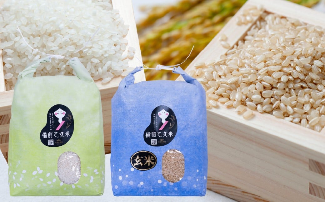 
            備前乙女米 白米5kg×1袋・玄米5kg×1袋 合計10kg 米 お米 白米 玄米 コメ 特A 精米 岡山県 倉敷市【2025年11月下旬～2026年9月下旬発送予定】
          