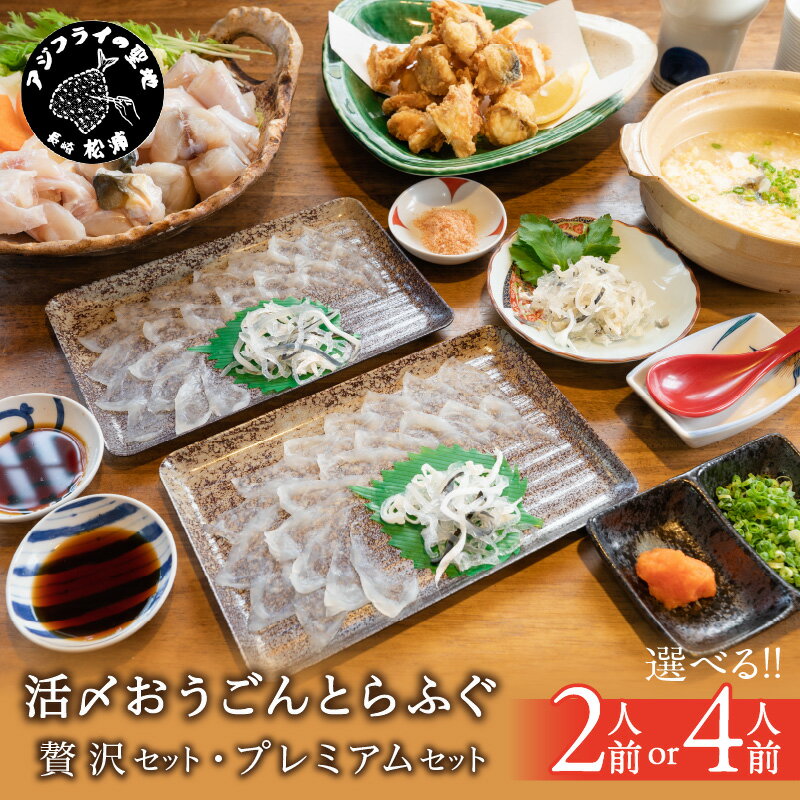 【ふるさと納税】＼お中元熨斗対応／活〆おうごんとらふぐ 贅沢2人前セット 贅沢4人前セット プレミアム4人前セット トラフグ とらふぐ ふぐ 河豚 フグ 高級 鍋 魚 海の幸 海産物 魚介類 九州 長崎県 松浦市