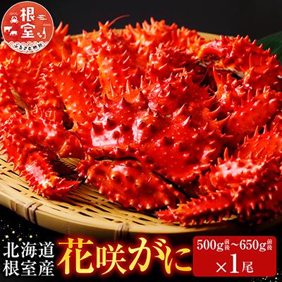 ふるさと納税 根室市 ＜12/21まで年内配送＞★花咲かに500g前後〜650g前後×1尾 A-70054