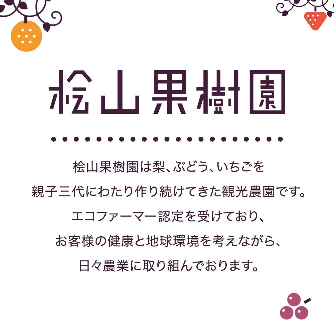 極上 プレミアム シャインマスカット ２房 ( １房 1kg 以上) 数量限定 【茨城県共通返礼品／常陸太田市】 先行予約 マスカット 特大 贈答用 ギフト プレゼント フルーツ くだもの 果物 果実