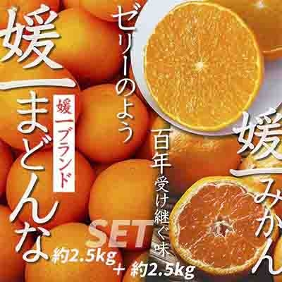 
                  ＜2025年11月以降発送＞「媛一みかん」と「媛一まどんな」の2品種・約5kg＜C28-29＞_みかん ミカン マドンナ 紅まどんな同品種 柑橘 柑橘類 フルーツ 果物 くだもの 人気 美味しい 愛媛県 八幡浜 ふるさと【1119673】 YWTN021
                