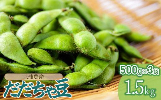 【令和7年産先行予約】 だだちゃ豆 約1.5kg (500g×3袋) 三浦農産