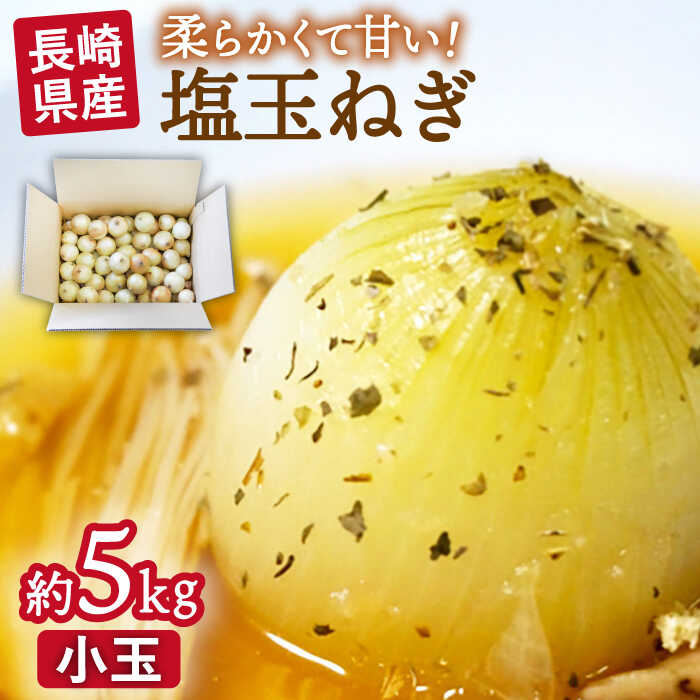 【ふるさと納税】【2026年3月中旬～発送】【柔らかくて甘い！】塩玉ねぎ 約5kg（小玉）/ 新たまねぎ 新玉ねぎ 新タマネギ 玉ネギ 玉ねぎ たまねぎ タマネギ / 南島原市 / 長崎県農産品流通合同会社 [SCB054]