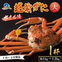 【ふるさと納税】【先行予約】越前港より直送！ 越前がに 大 (約1kg～1.2kg) 1杯 【1月～3月順次発送予定】 / 雄 ズワイガニ ずわいがに ズワイ蟹 越前ガニ ボイル 冷蔵 ご自宅用 カニ しゃぶしゃぶ 海鮮 カニすき カニ鍋 カニしゃぶ かに 国産 南越前町 送料無料