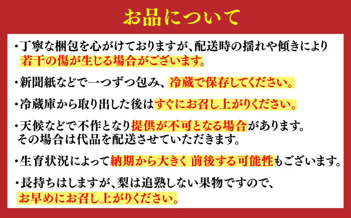 【100年続く梨農家直送】【化粧箱入り】秋丸（王秋）5-8個入（約3kg） / 梨 なし 伊万里梨 フルーツ 果物 / 佐賀県 / 大川三世代 [41AEAB011]