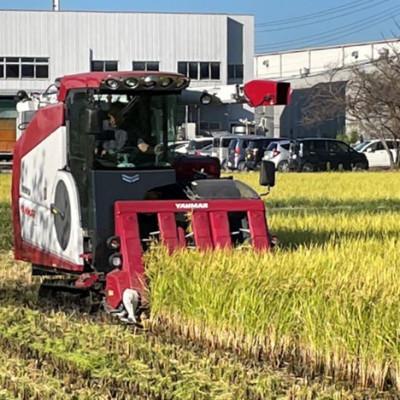 ふるさと納税 羽島市 令和7年産 岐阜県羽島市産ハツシモ 精米20kg(5kg×4袋) |  | 03