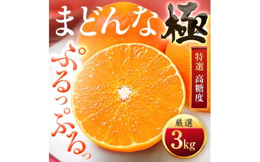 ＜夕やけブランド＞ぷるぷる食感＜まどんな＞3kg　※紅まどんな と同品種　＜E49-22＞_みかん 柑橘 まどんな 果物 くだもの フルーツ 人気 おすすめ 送料無料 甘い 濃厚 愛媛県 八幡浜市【1416588】 YWTZ014