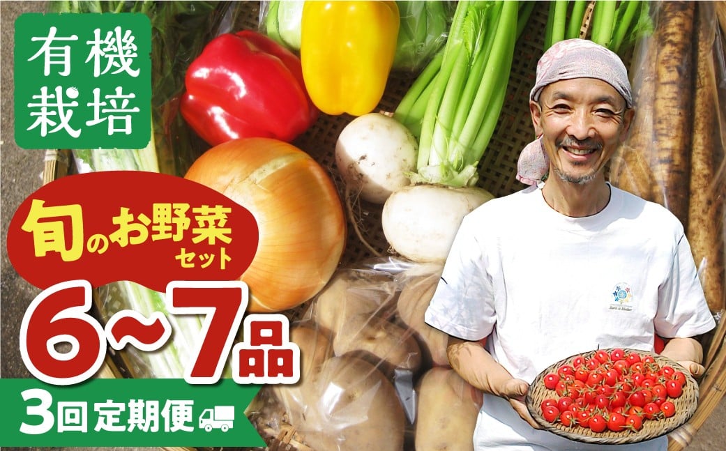 
            《令和8年産 先行予約受付中》野菜の栄養価コンテストグランプリ農家が贈る 無農薬栽培 野菜セット 6-7品 3回お届け 定期便 お野菜のレシピ付き
          