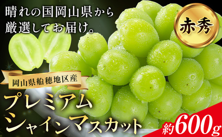【2026年発送】プレミアム シャインマスカット 船穂 赤秀品 晴王 600g 晴レ乃青果　(岡山中央卸売市場店(富士紙工 有限会社))  