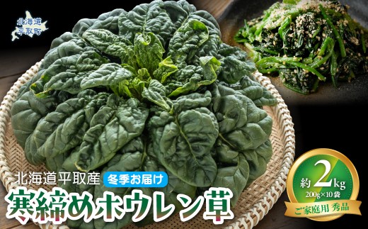 【先行予約/2026年12月上旬以降発送】【北海道平取町産】寒締めホウレン草（ちぢみほうれん草）200g×10袋 【 ふるさと納税 人気 おすすめ ランキング ほうれん草 ちぢみほうれん草 ホウレン草 寒締め 野菜 産地直送 北海道産 北海道 平取町 送料無料 】 BRTO003