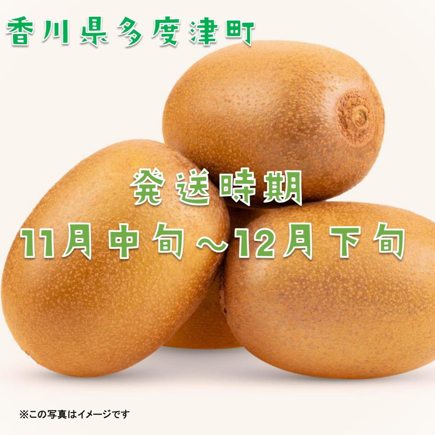 香川県オリジナルキウイフルーツ「さぬきキウイっこ約1.3kg【予約受付中！令和7年11月上旬頃から発送】【A-46】