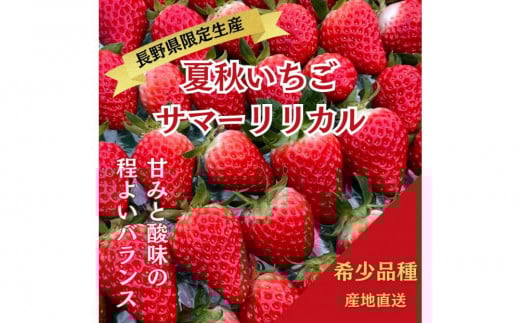 【すえひろファーム　いちご園】夏秋いちご　サマーリリカル（長野県限定生産）1箱（30～36粒）×2　苺 イチゴ ストロベリー 果物 フルーツ 7月 8月 北アルプス 雪解け水 信州 スイーツ