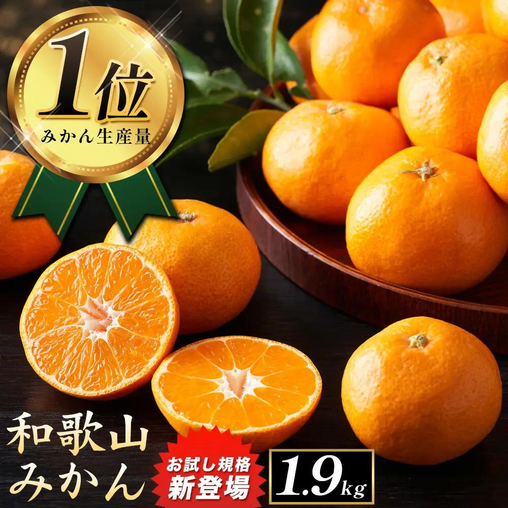 みかん ご家庭用約1.9kg