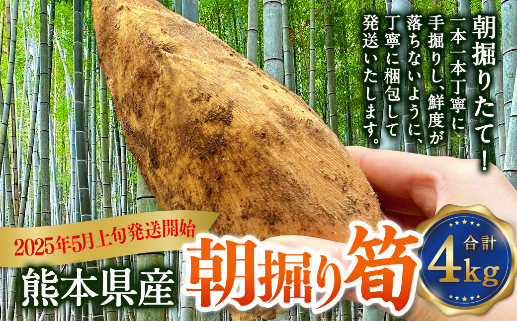 熊本県産 朝掘り 筍 約4kg 【2025年4月上旬発送開始】 たけのこ タケノコ 野菜