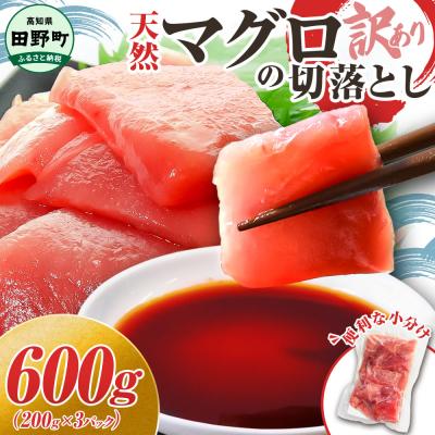 ふるさと納税 田野町 【四国一小さなまち】天然マグロ切り落とし 600g(冷凍)