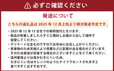 熊本県産みはや 約5キロ 【2025年12月上旬発送開始】 果物 柑橘類 蜜柑