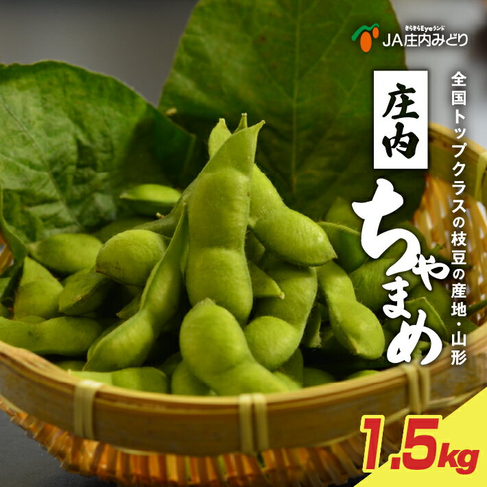 【ふるさと納税】庄内ちゃまめ 計1.5kg 250g×6袋 8月上旬〜9月上旬頃お届け 冷蔵便 ※着日指定・離島発送不可 夏 枝豆 茶豆 野菜 JA 農協 直送 東北 山形県 酒田市 庄内 食べきりサイズ