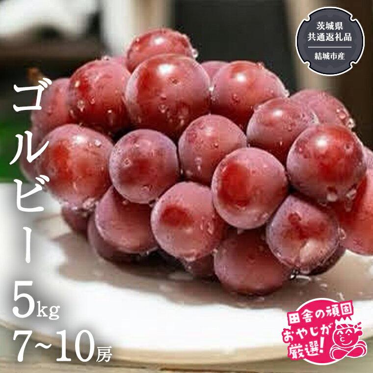 【ふるさと納税】ゴルビー 5kg (7~10房) 【2025年9月より発送開始】（茨城県共通返礼品 [ぶどう]：結城市産）ぶどう ブドウ 葡萄 果物 フルーツ 茨城県産