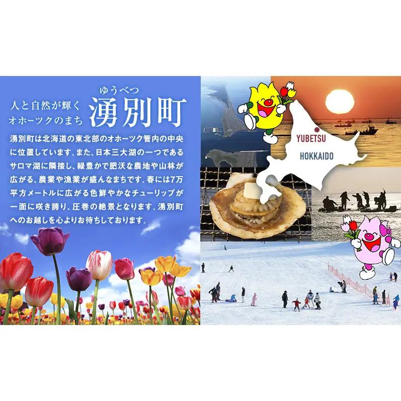 オホーツク海産 冷凍 ほたて 貝柱 500g 5Sサイズ [株式会社寺本商店]【 帆立 ホタテ 刺身 玉冷 海鮮 魚介 魚貝類 生食用 北海道 湧別町 サロマ湖 】